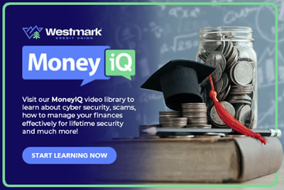 MoneyiQ